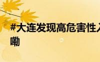 #大连发现高危害性入侵昆虫# 到底什么情况嘞