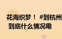 花海织梦！ #到杭州赴一场秋日彩色之约# ！ 到底什么情况嘞