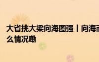 大省挑大梁向海图强丨向海而兴山东共绘海洋新蓝图 到底什么情况嘞