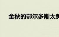 金秋的鄂尔多斯太美了 到底什么情况嘞
