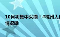 10月初集中采摘！#杭州人迎来秋天的甜蜜柚惑# 到底什么情况嘞