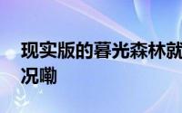现实版的暮光森林就在山东这里 到底什么情况嘞