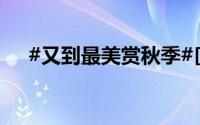#又到最美赏秋季#[哇] 到底什么情况嘞