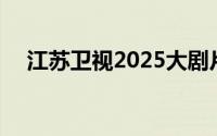江苏卫视2025大剧片单 到底什么情况嘞