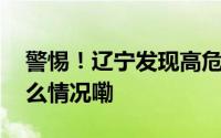 警惕！辽宁发现高危害性入侵昆虫… 到底什么情况嘞