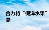 合力将“假洋水果”一网打尽 到底什么情况嘞