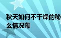 秋天如何不干燥的秘密 不只是多喝水 到底什么情况嘞