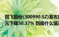 同飞股份(300990.SZ)发布前三季度业绩净利润6991.66万元下降50.37% 到底什么情况嘞
