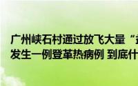 广州峡石村通过放飞大量“益蚊”控制伊蚊种群密度七年未发生一例登革热病例 到底什么情况嘞