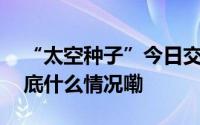 “太空种子”今日交付太空快递里还有啥 到底什么情况嘞