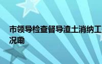 市领导检查督导渣土消纳工作 刘捷姚高员参加 到底什么情况嘞