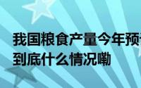我国粮食产量今年预计将首次突破1.4万亿斤 到底什么情况嘞