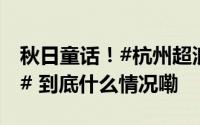 秋日童话！#杭州超浪漫的粉紫色芦苇美哭了# 到底什么情况嘞