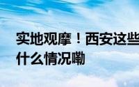 实地观摩！西安这些重点项目最新进展 到底什么情况嘞
