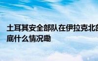土耳其安全部队在伊拉克北部摧毁多个库尔德工人党目标 到底什么情况嘞