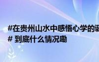 #在贵州山水中感悟心学的诞生##阳明问道十二境正式发行# 到底什么情况嘞