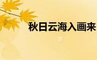 秋日云海入画来 到底什么情况嘞