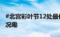 #北宫彩叶节12处最佳赏叶点位# 到底什么情况嘞