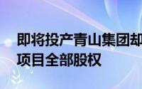 即将投产青山集团却50亿卖掉了阿根廷锂盐项目全部股权