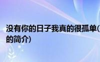 没有你的日子我真的很孤单(关于没有你的日子我真的很孤单的简介)