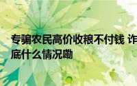 专骗农民高价收粮不付钱 诈骗团伙卷走农民1000多万元 到底什么情况嘞