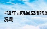 #货车司机回应搭狗屋带狗跑车#  到底什么情况嘞