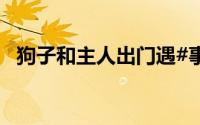 狗子和主人出门遇#事故# 到底什么情况嘞