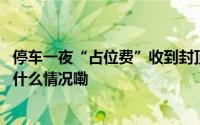 停车一夜“占位费”收到封顶？“云快充”平台遭吐槽 到底什么情况嘞