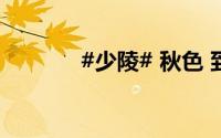 #少陵# 秋色 到底什么情况嘞