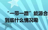 “一带一路”能源合作底色更绿 朋友圈更大 到底什么情况嘞