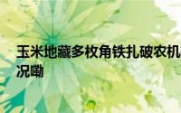玉米地藏多枚角铁扎破农机轮胎 警方介入调查 到底什么情况嘞