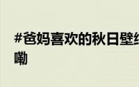 #爸妈喜欢的秋日壁纸上新了# 到底什么情况嘞