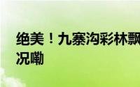绝美！九寨沟彩林飘雪全糖微冰 到底什么情况嘞
