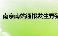 南京南站通报发生野猪侵线 到底什么情况嘞