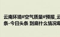 云南环境#空气质量#预报_云南发布_2024年10月29日_微头条-今日头条 到底什么情况嘞