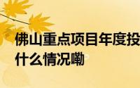 佛山重点项目年度投资计划完成超90% 到底什么情况嘞