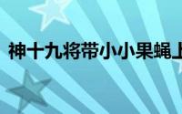 神十九将带小小果蝇上太空 到底什么情况嘞