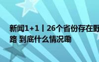 新闻1+1丨26个省份存在野猪致害 科学防控有哪些方法思路 到底什么情况嘞