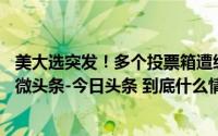 美大选突发！多个投票箱遭纵火_海峡网_2024年10月29日_微头条-今日头条 到底什么情况嘞
