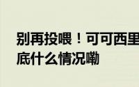 别再投喂！可可西里网红狼被喂成胖球啦 到底什么情况嘞