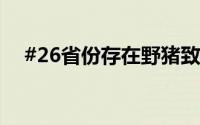 #26省份存在野猪致害# 到底什么情况嘞