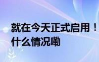 就在今天正式启用！第一块浙M来了！ 到底什么情况嘞