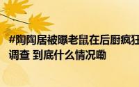 #陶陶居被曝老鼠在后厨疯狂吃包子#！广州市监部门已立案调查 到底什么情况嘞