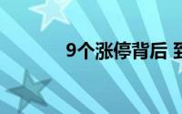 9个涨停背后 到底什么情况嘞