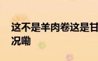 这不是羊肉卷这是甘肃丹霞地貌 到底什么情况嘞