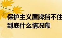 保护主义盾牌挡不住中国电动车进击的长矛 到底什么情况嘞