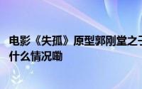 电影《失孤》原型郭刚堂之子被拐案二审今日再次开庭 到底什么情况嘞