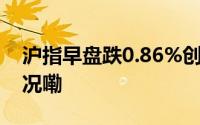 沪指早盘跌0.86%创指跌1.42% 到底什么情况嘞