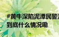 #黄牛深陷泥潭民警深夜上演救牛记#[给力] 到底什么情况嘞
