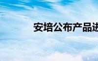 安培公布产品进程 差异化竞争